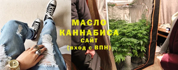 шишки Саяногорск