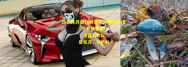 не бодяженный Ростов