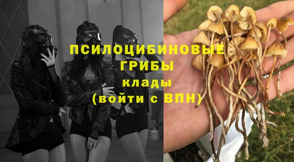 герыч Россошь