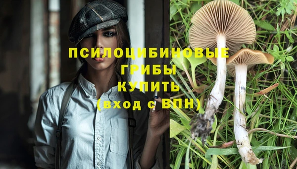 не бодяженный Ростов