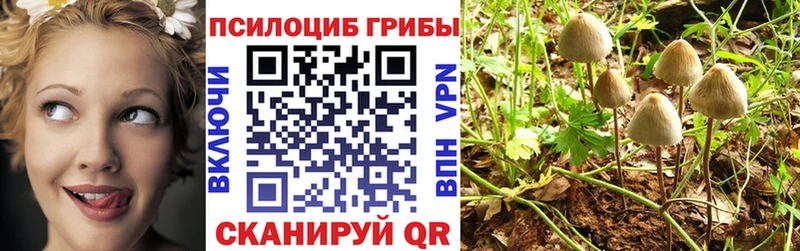 Псилоцибиновые грибы MAGIC MUSHROOMS  Купить где  Заозёрск 